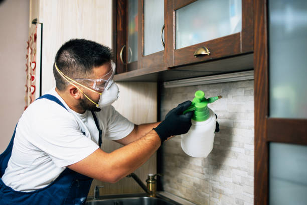 Best Commercial Pest Control Services  in Hutchins, TX