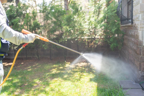 Bird Control in Hutchins, TX