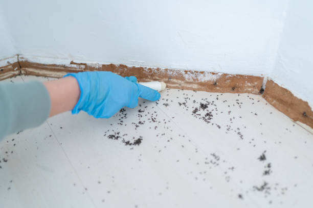 Best Pest Prevention Services  in Hutchins, TX