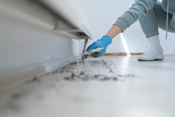 Best Residential Pest Control  in Hutchins, TX